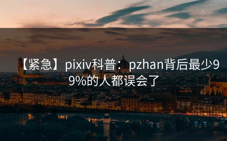 【紧急】pixiv科普：pzhan背后最少99%的人都误会了