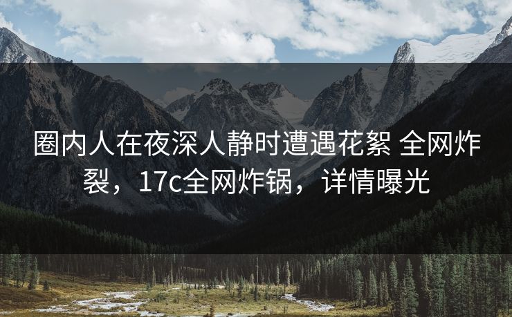 圈内人在夜深人静时遭遇花絮 全网炸裂，17c全网炸锅，详情曝光