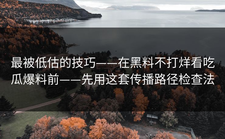 最被低估的技巧——在黑料不打烊看吃瓜爆料前——先用这套传播路径检查法